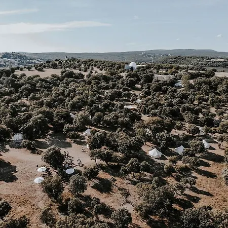 Lodg'ing Nature Camp Luberon Luxury tent Saint-Michel-l'Observatoire